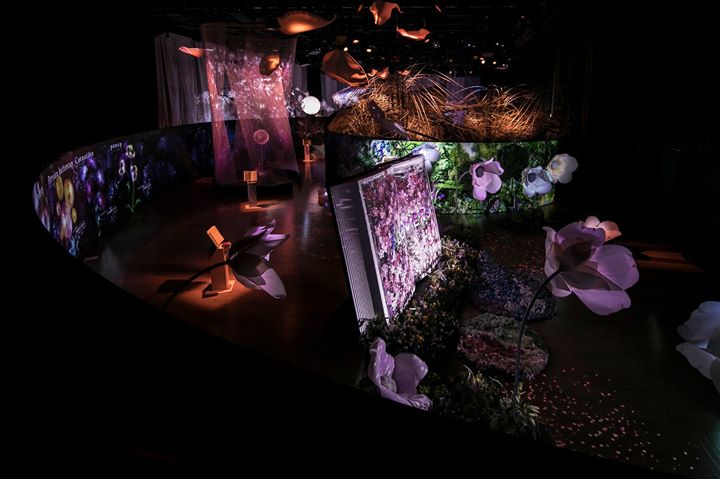 「FLOWERS by NAKED 2017 －立春－」は明日まで NAKED FLOWERS 2021 −桜− 世界遺産・二条城