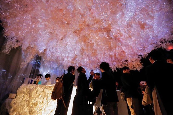 日本橋・六本木で好評を博し、東京以外での初の巡回展として、10月14日(金) ～11月12日(土)に、沖縄県那覇市のデパートリウボウにて「FLOWERS by NAKED 秘密の花園」が開催中です。 NAKED FLOWERS 2021 −桜− 世界遺産・二条城
